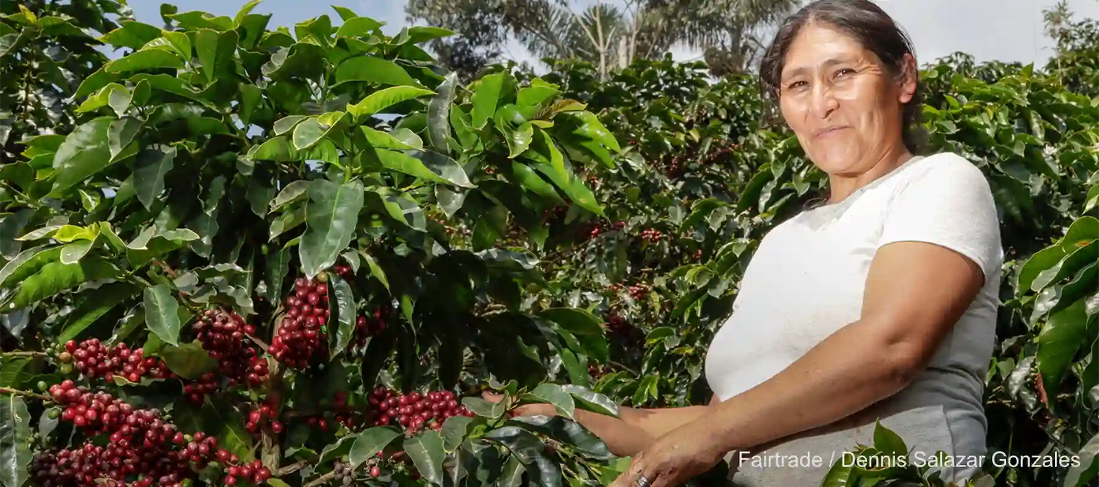 Fairtrade