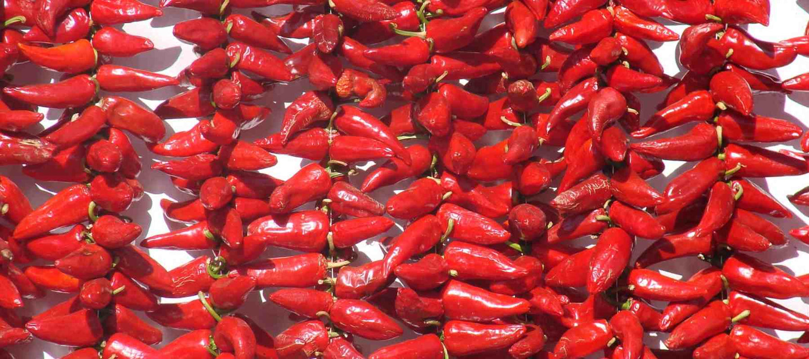 Piment d’Espelette