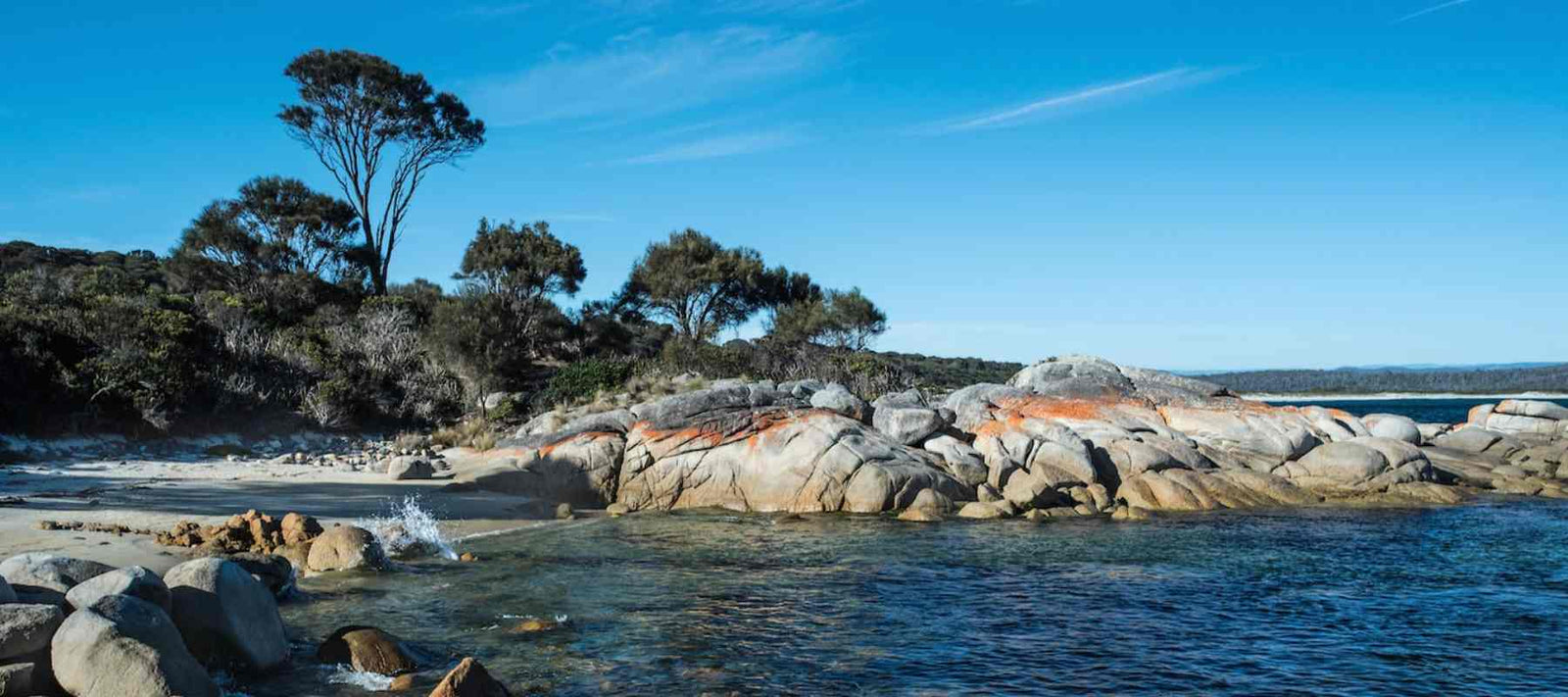 Tasmanischer Pfeffer – Außergewöhnliche Gewürzspezialität aus Australien